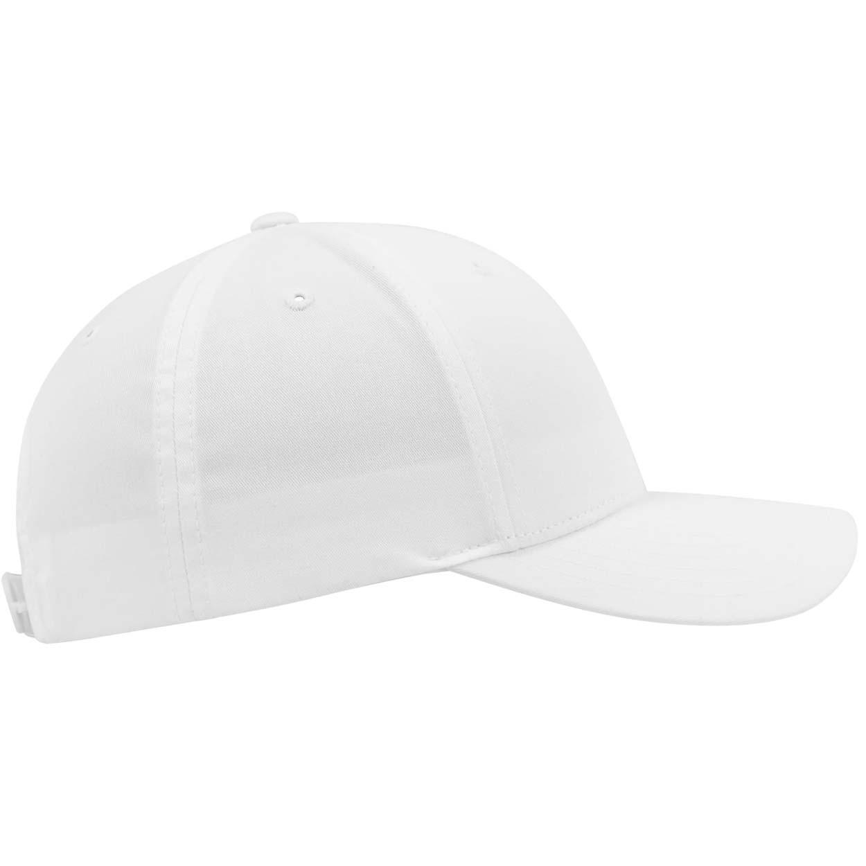 Curved Classic Snapback