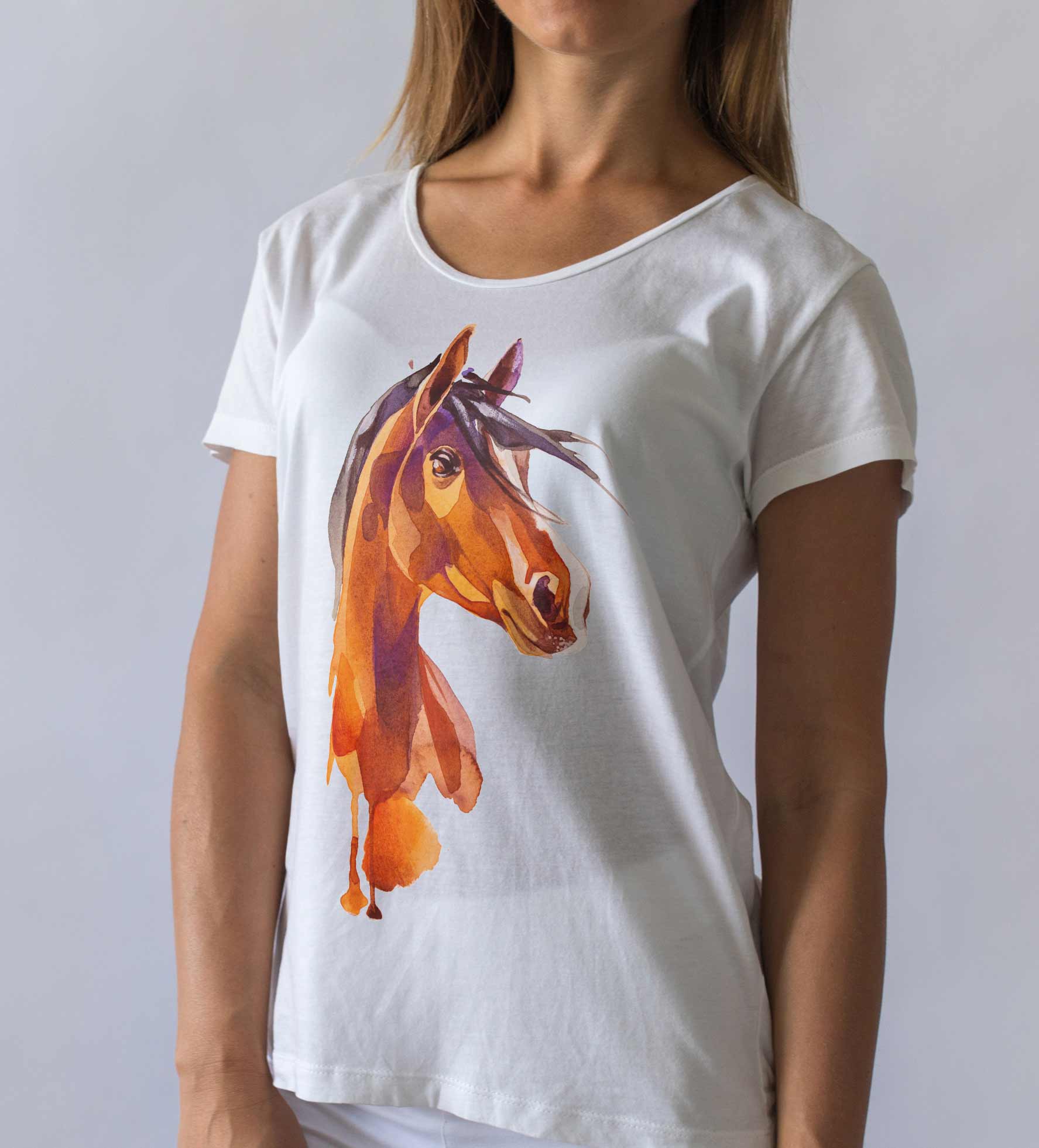 T-Shirt HIstoric Pferd Illustration, Bio-Baumwolle, Unisex, Damen, Kids