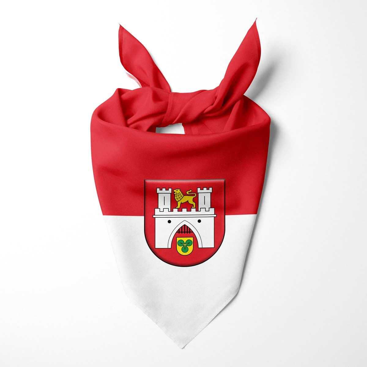 Hannover- Hundehalstuch