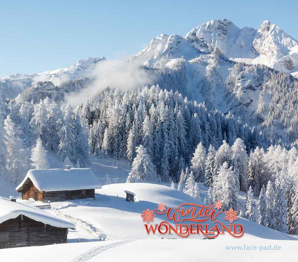 D-FPP-Winter-Wonderland-2