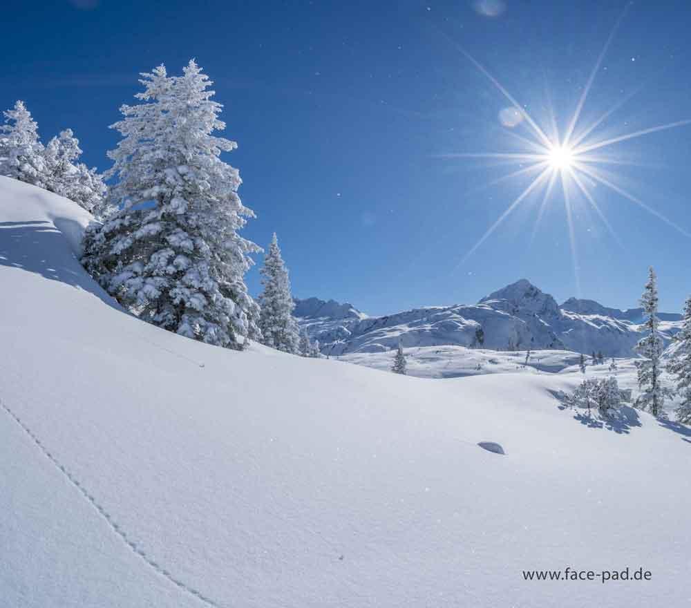 D-FPP-Winter-Wonderland