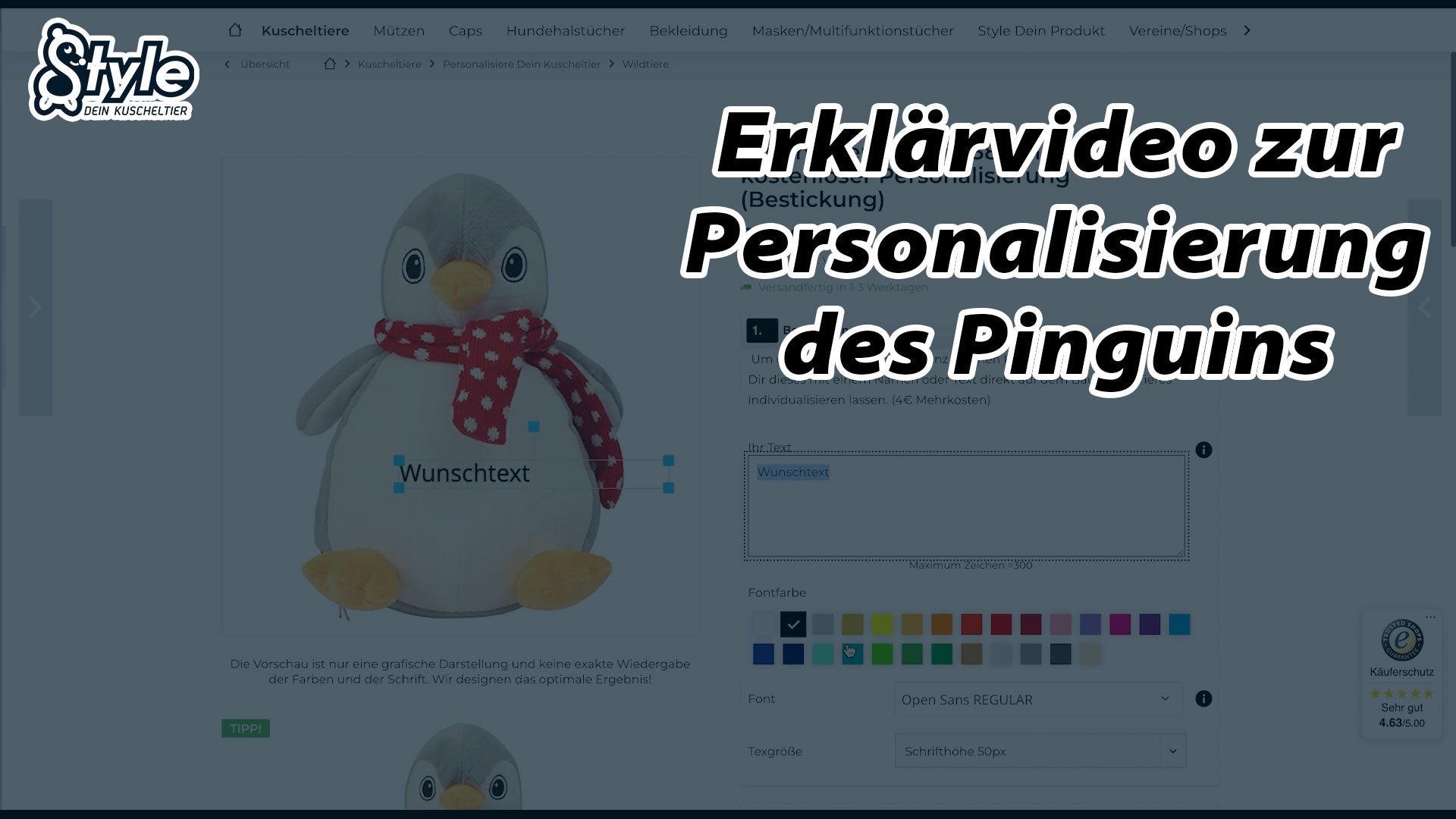 Erklaervideo-Zippie-Pinguin-stikkma-1080-2