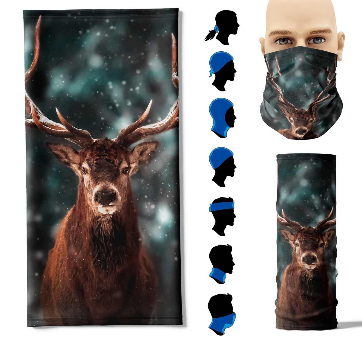 FP-Hirsch-vorneYCdRXVdIHH15T