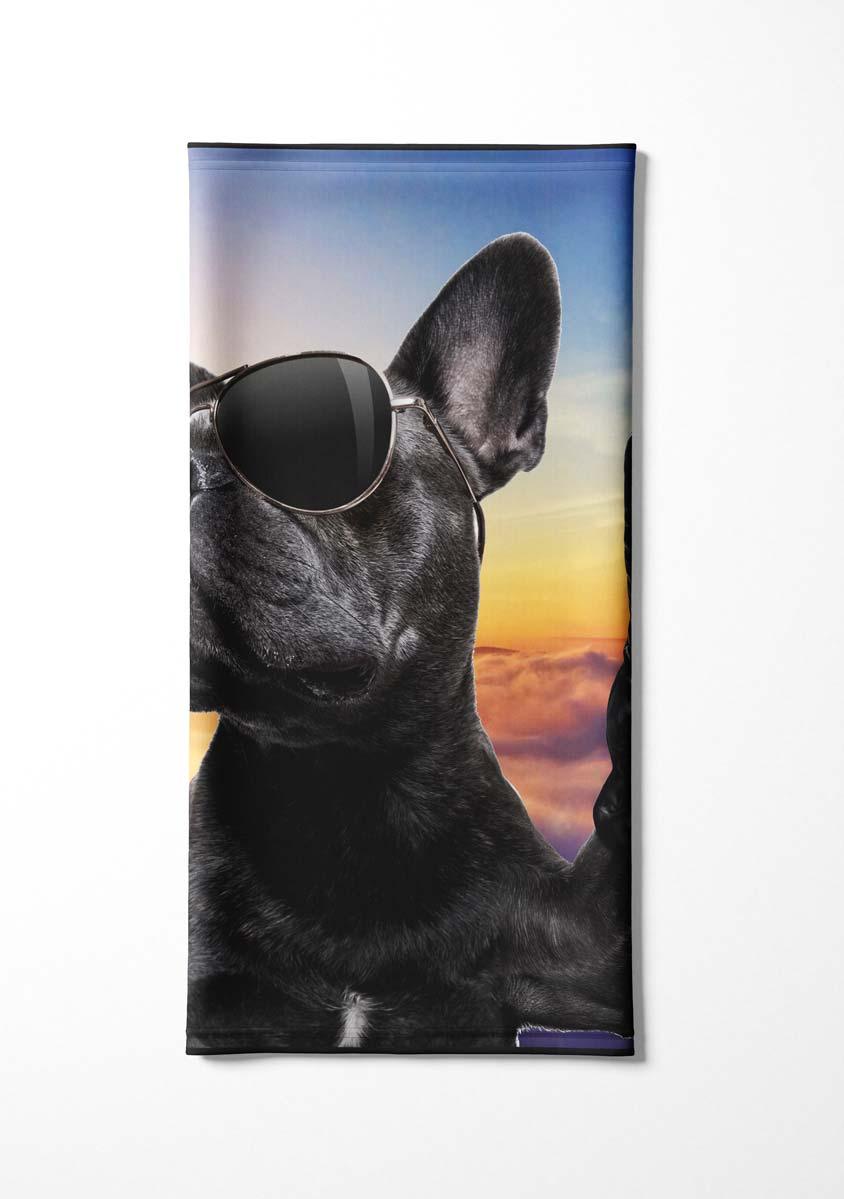 FP-Hund-cool-2