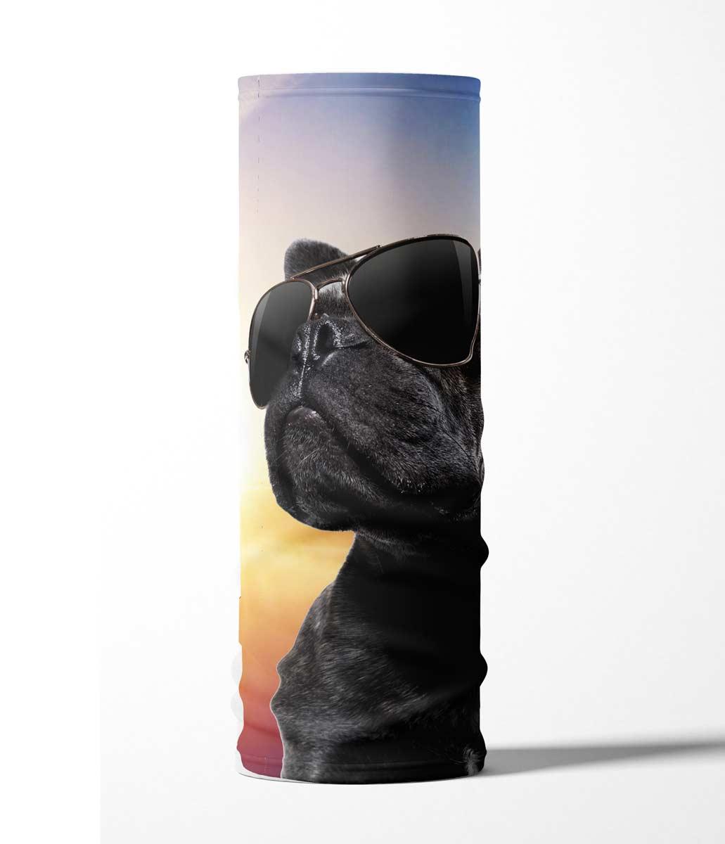 FP-Hund-cool-3