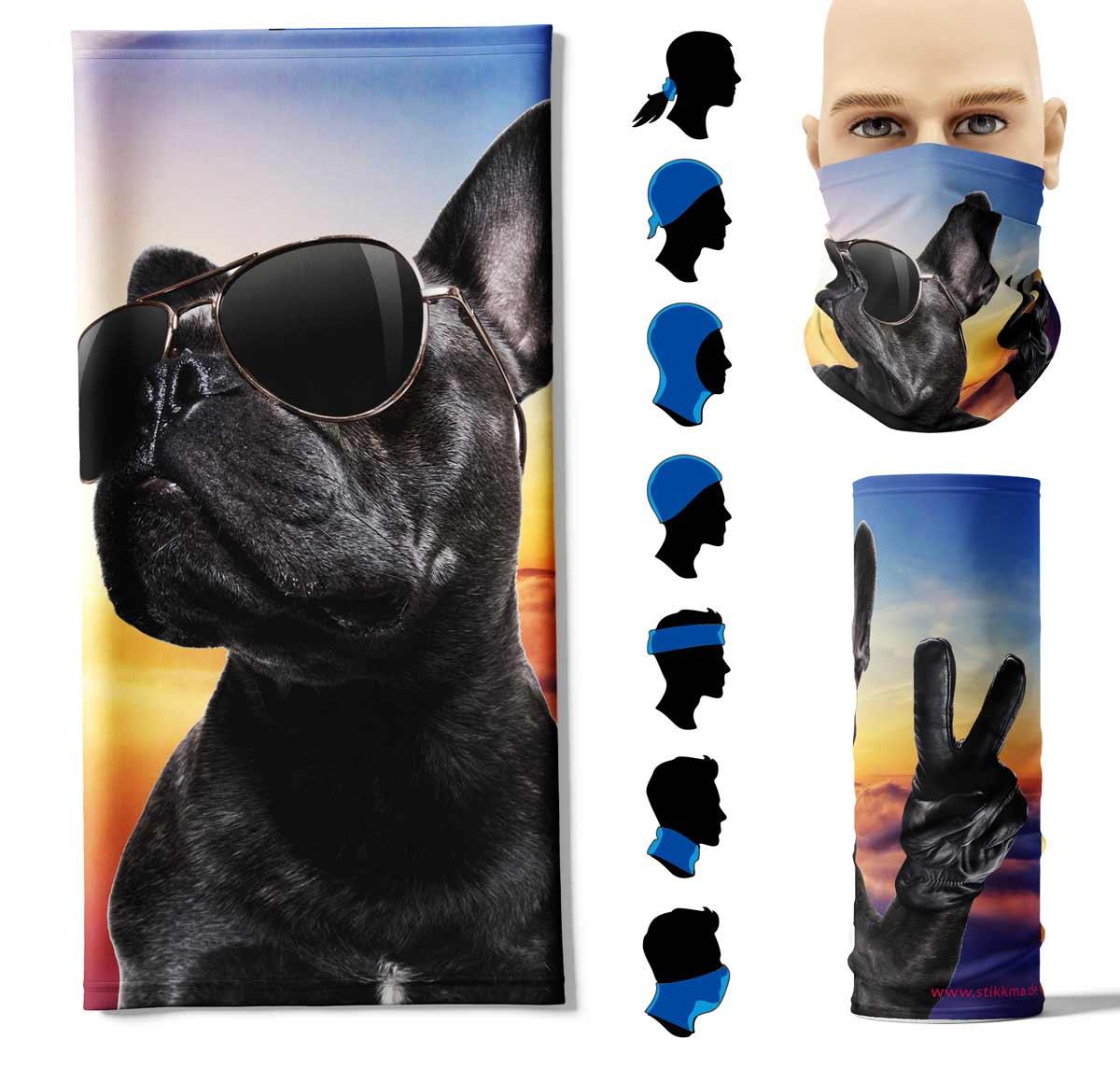 FP-Hund-coolygqk6HfHxx4n8