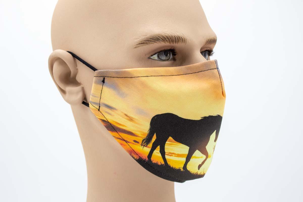 FP-Sonnenuntergang-unicorn-1
