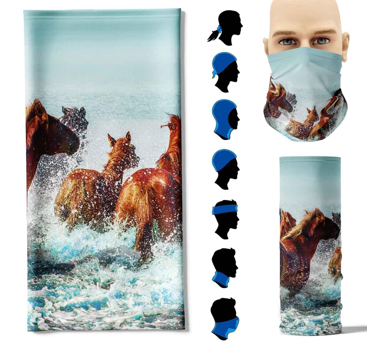 FP-_springende-Haflinger