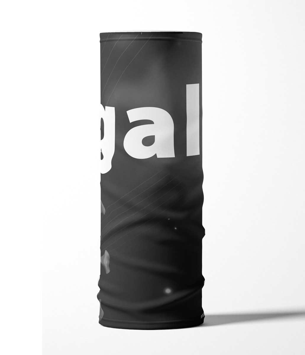 FP-egal-3