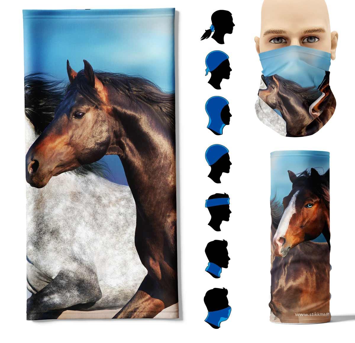 FP-laufende-PferdeEFOuNMvsMlvZM