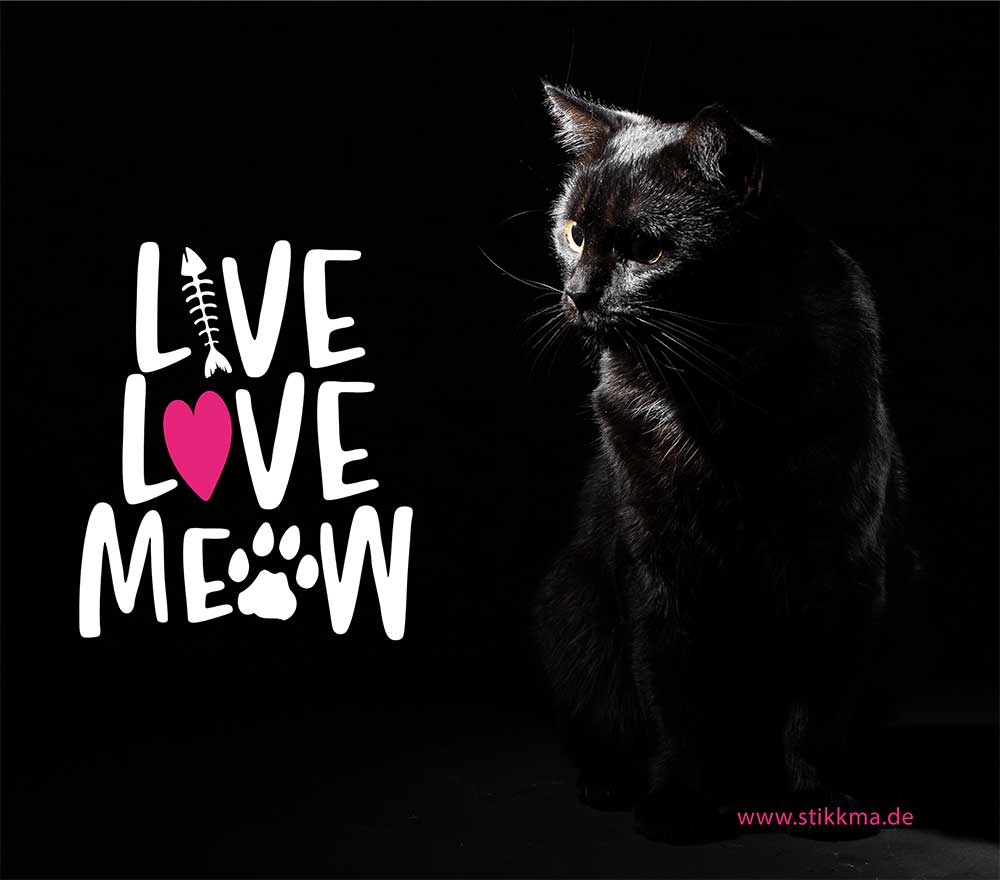 FP-live-love-meow-5