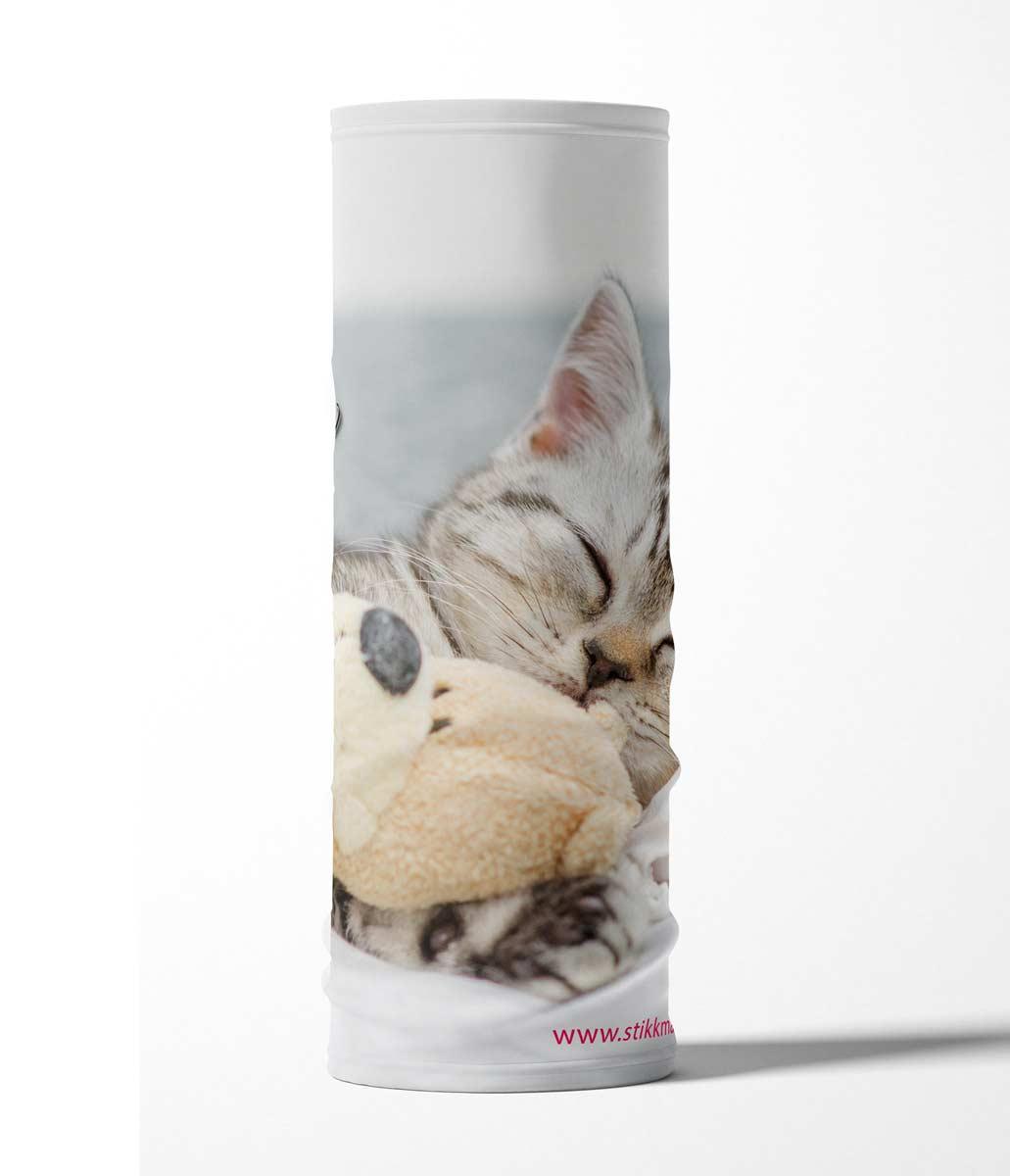 FP-meow-3