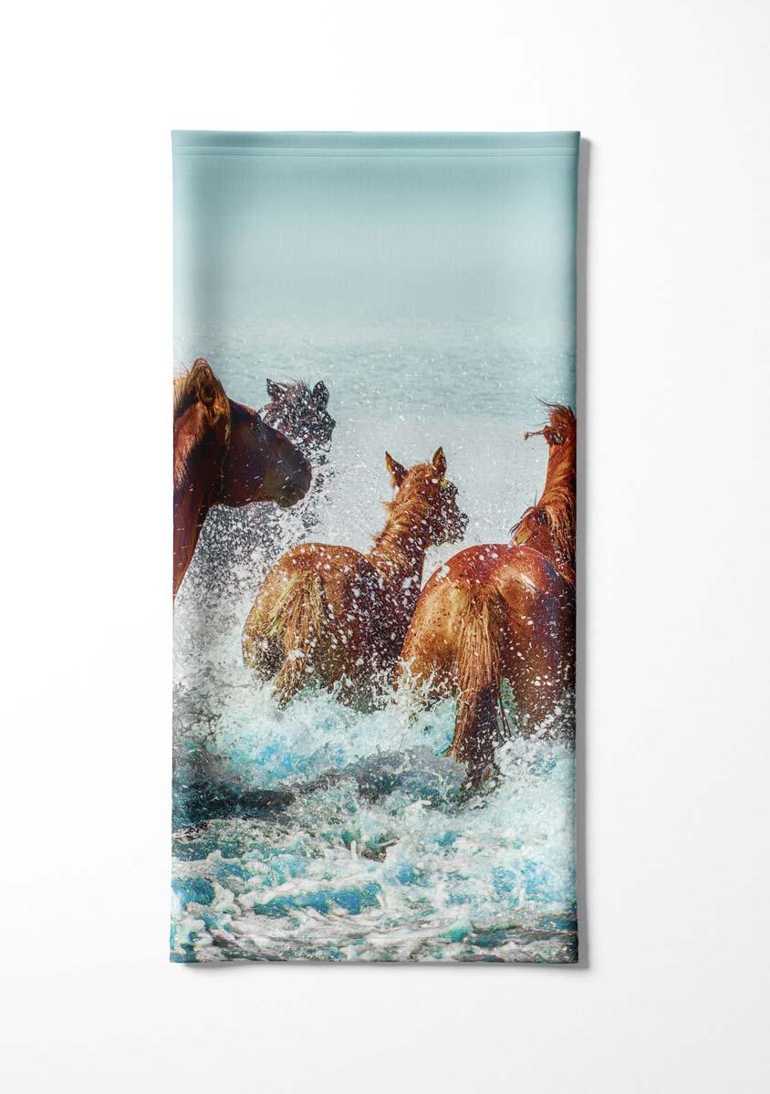 FP-springende-Haflinger-2