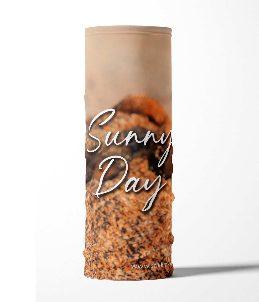 FP-sunny-day-4