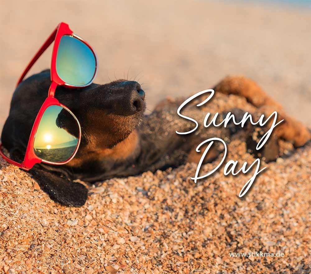 FP-sunny-day-5