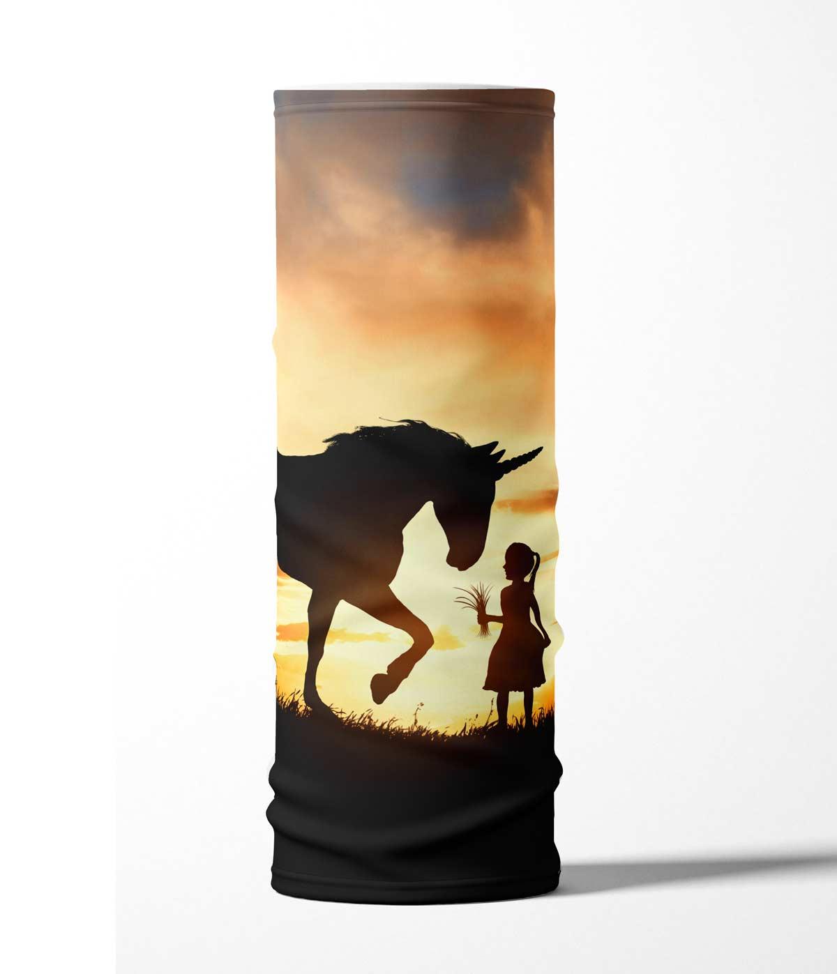 FPP-Einhorn-Sonnenuntergang-1
