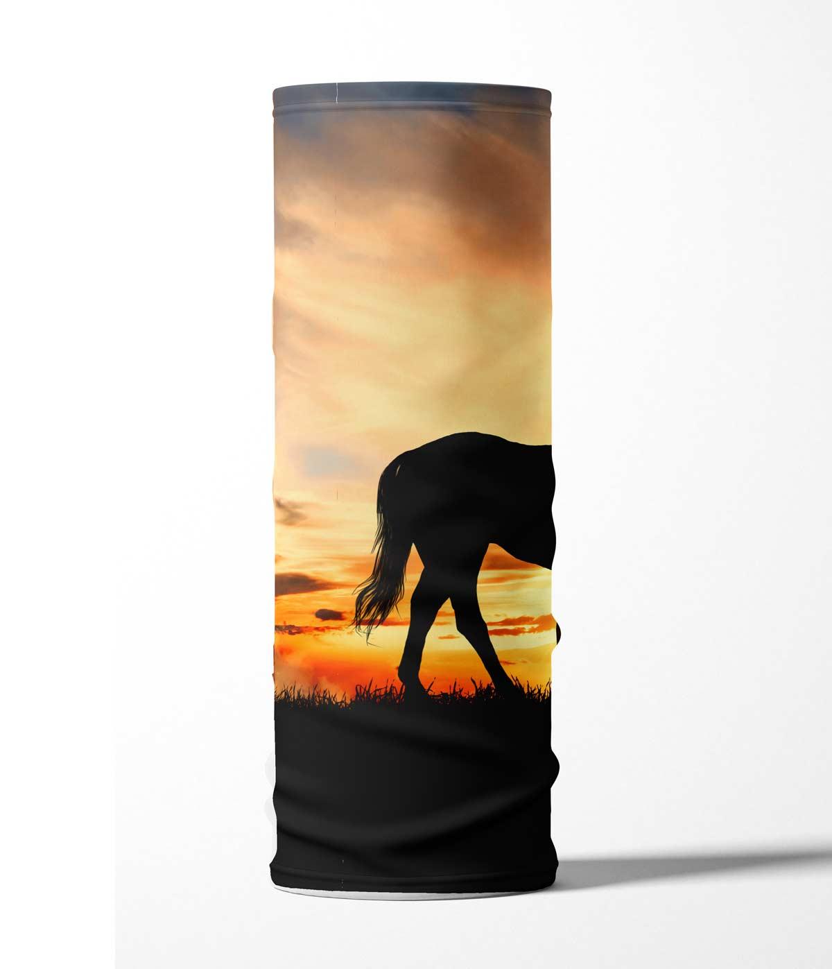 FPP-Einhorn-Sonnenuntergang-2