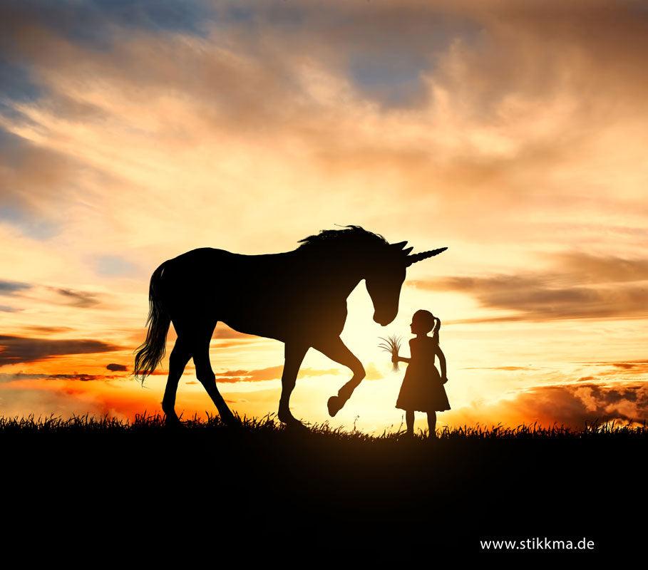 FPP-Einhorn-Sonnenuntergang-Design
