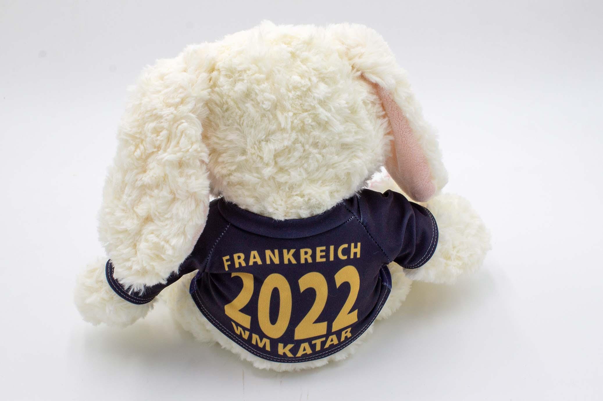 Frankreich-2hRSFMV97jIMU2