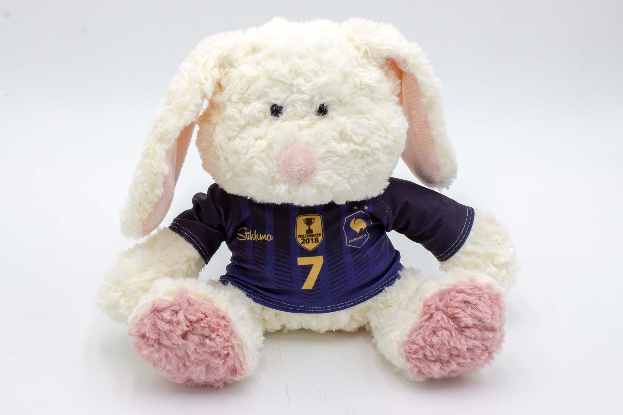 Frankreich-3LbaxNcqYHWePJ