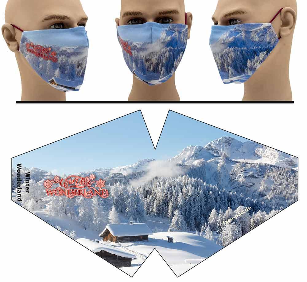 V-FP-Winter-Wonderland