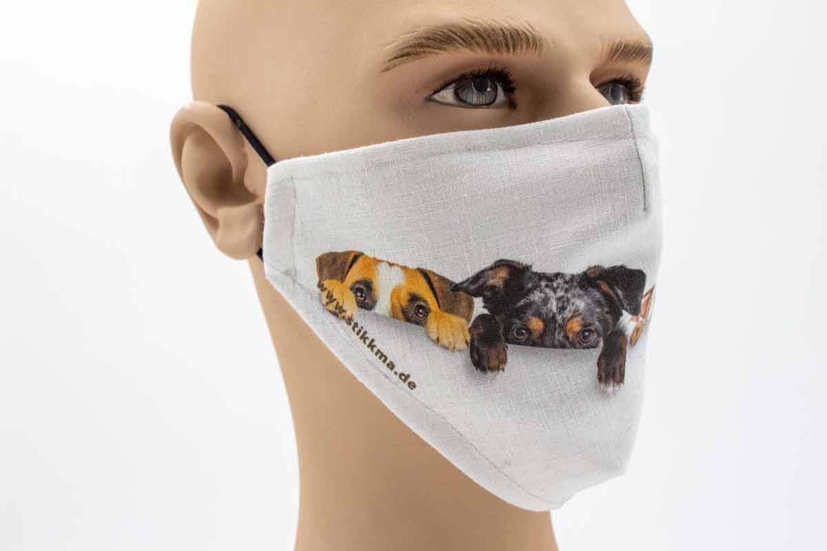 versteckende-hunde-2