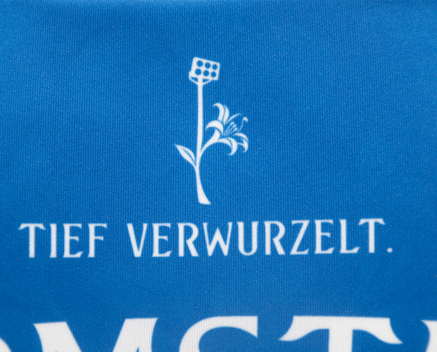 Darmstadt Fan-Trikot 26/27 Heim inkl. Name und Nummer (Druck)