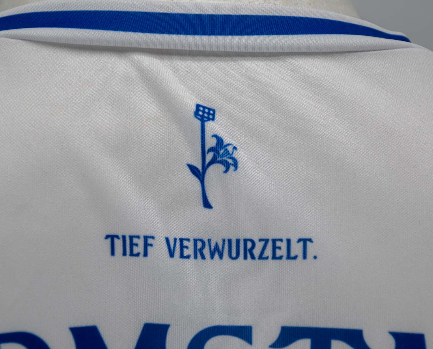 Darmstadt Fan-Trikot 26/27 Auswärts inkl. Name und Nummer (Druck)